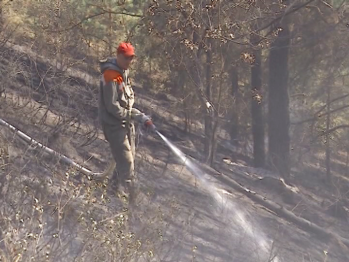 ����: cheltv.ru