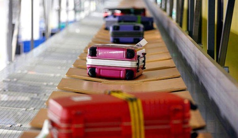 Совету Федерации рекомендовали отказаться от отмены бесплатного багажа
