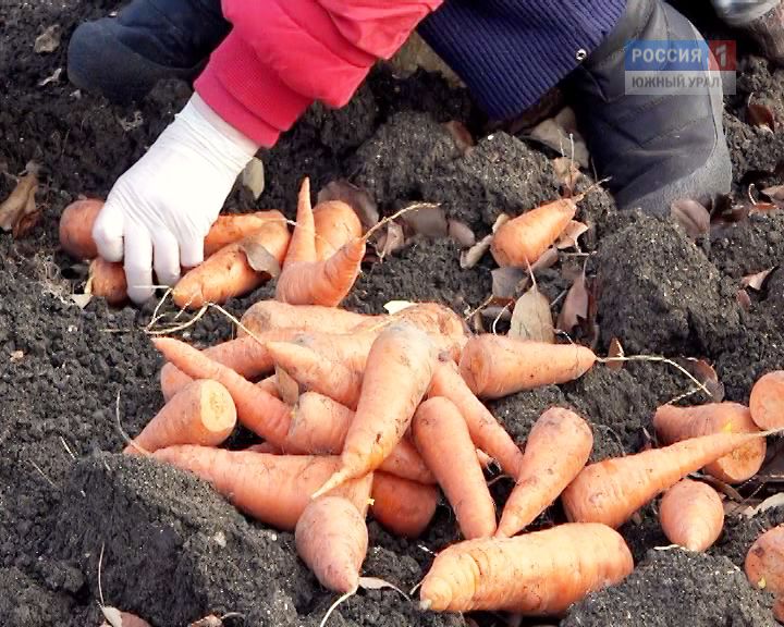 Садоводы южного урала