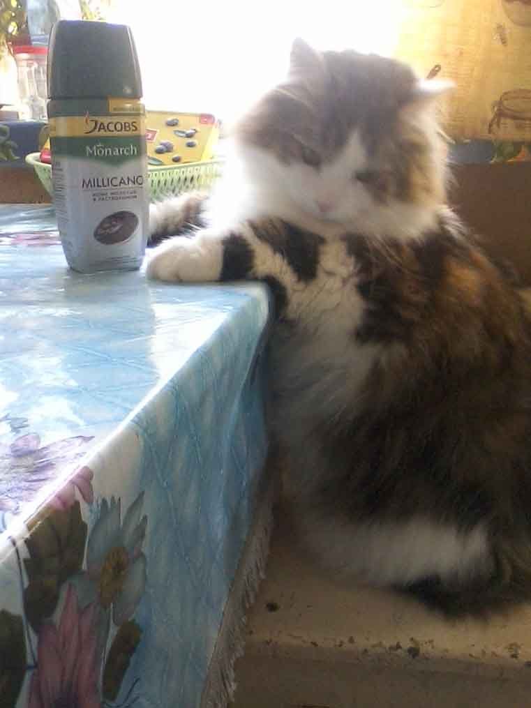 #1 Фотоконкурс Утро Кофе Позитив