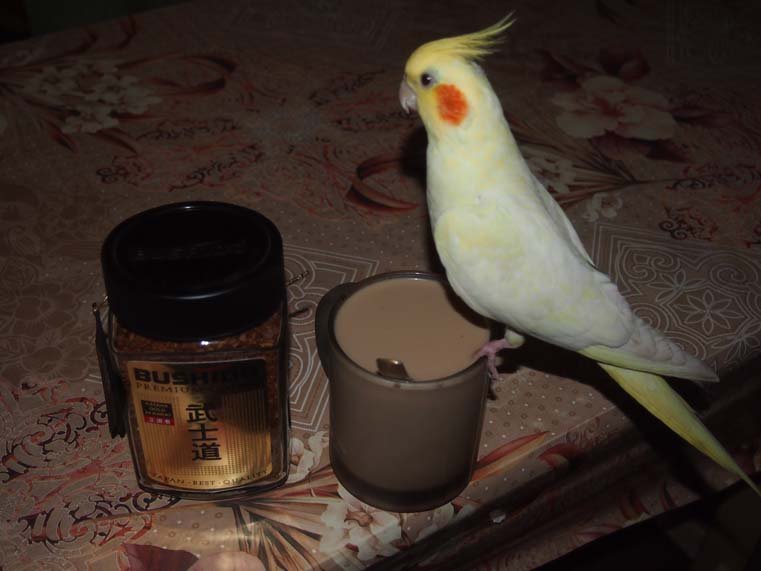 #4 Фотоконкурс "Утро Кофе Позитив"