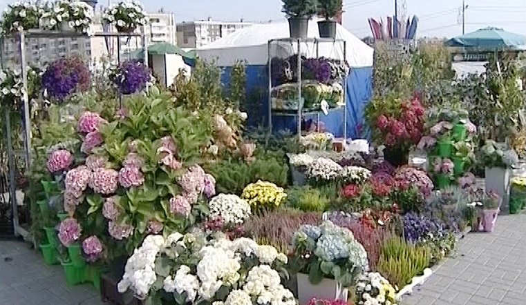 Все для садоводов. В Челябинска откроется выставка