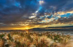 какое озеро в пределах города челябинска является остатком древнего океана. Смотреть фото какое озеро в пределах города челябинска является остатком древнего океана. Смотреть картинку какое озеро в пределах города челябинска является остатком древнего океана. Картинка про какое озеро в пределах города челябинска является остатком древнего океана. Фото какое озеро в пределах города челябинска является остатком древнего океана какое озеро в пределах города челябинска является остатком древнего океана. Смотреть фото какое озеро в пределах города челябинска является остатком древнего океана. Смотреть картинку какое озеро в пределах города челябинска является остатком древнего океана. Картинка про какое озеро в пределах города челябинска является остатком древнего океана. Фото какое озеро в пределах города челябинска является остатком древнего океана