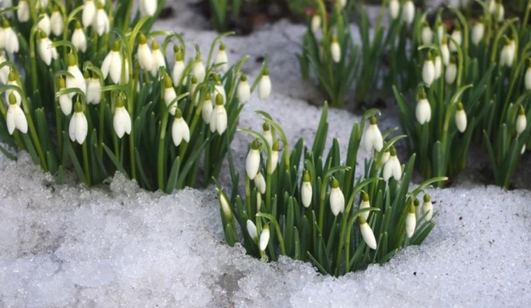«Сибирский максимум». Синоптики нашли причину аномальной зимы