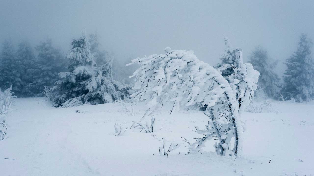 МЧС продлило предупреждение о снегопаде и метелях в Челябинской области