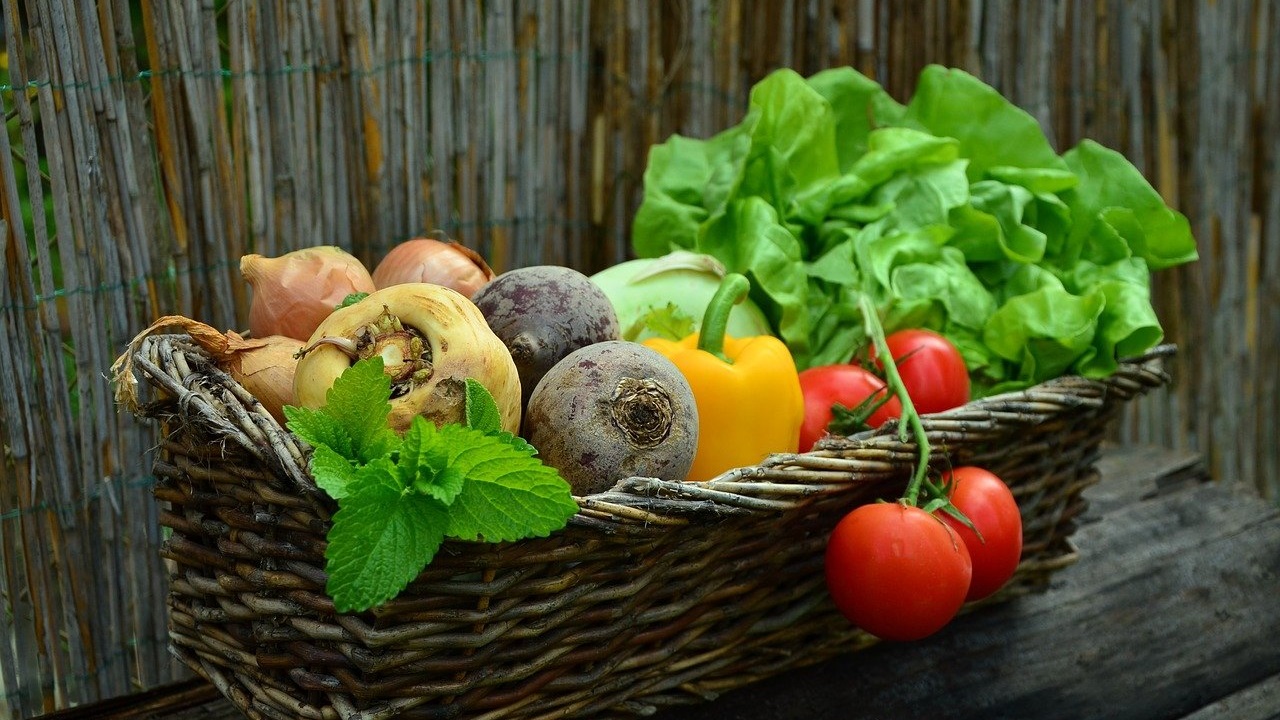 О пользе тепличных овощей зимой рассказал врач из Челябинска