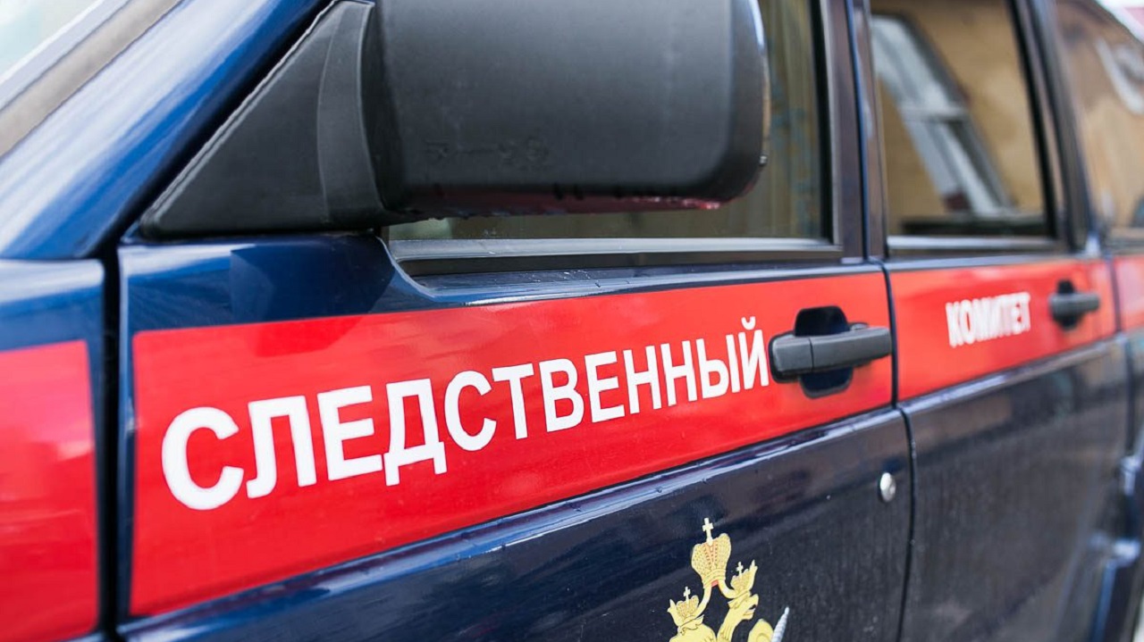 Мать и сын в Челябинске насмерть отравились алкоголем