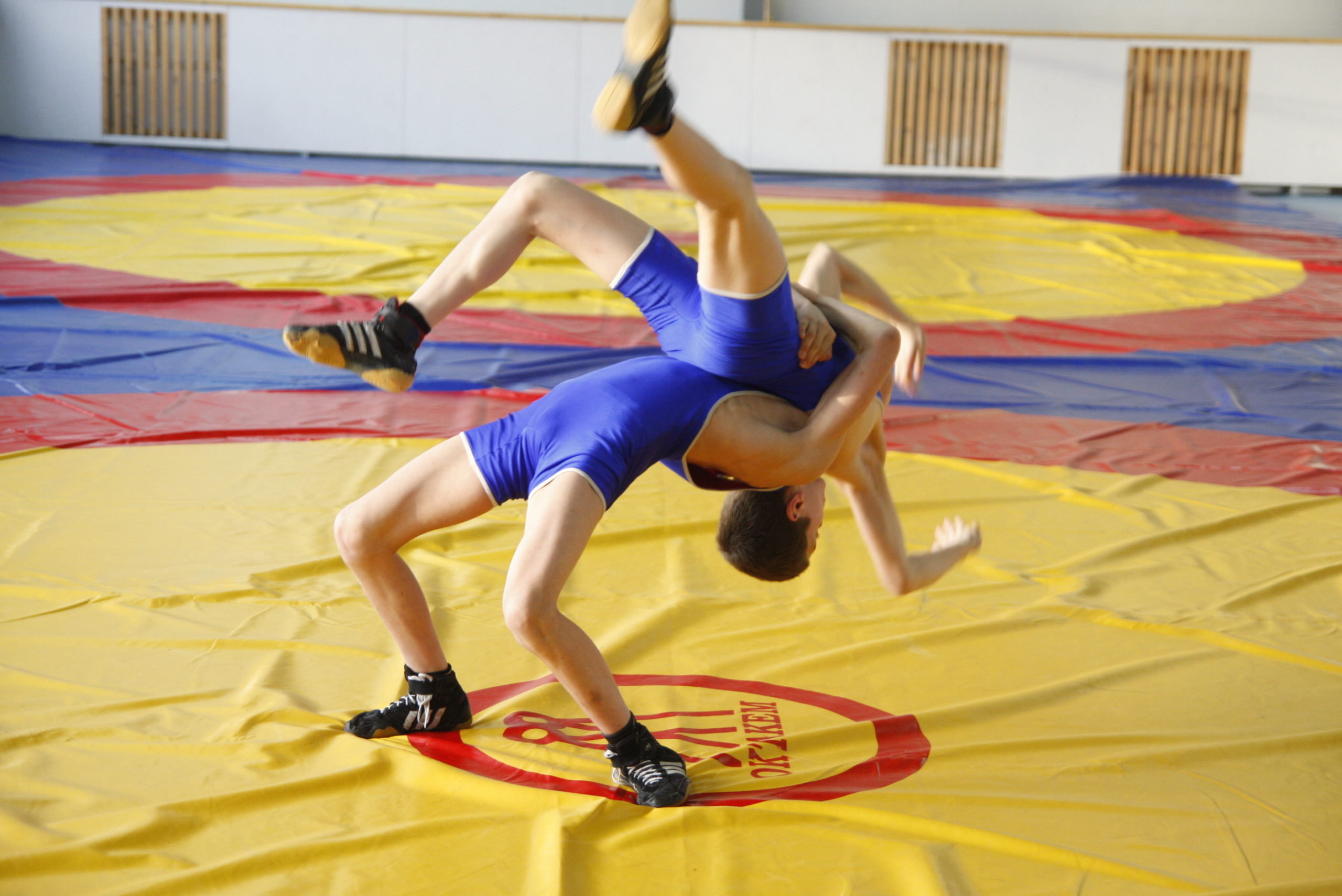 Реслинг вид спорта