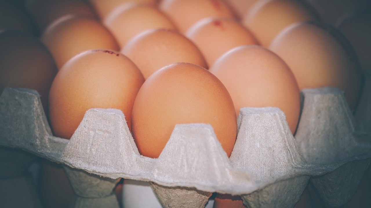 Опасные яйца и мясо птицы попали в магазины Челябинской области