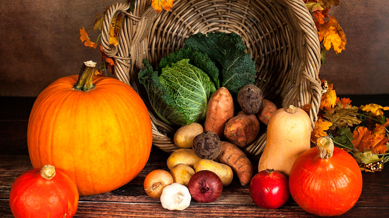 Правильное питание осенью: составлен список продуктов октября