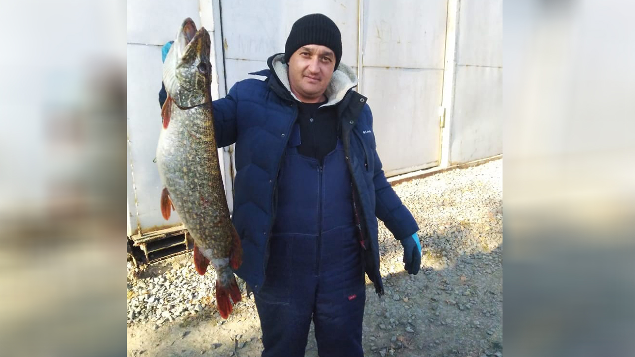 Уловом огромных щук хвастаются рыбаки из Челябинской области ФОТО