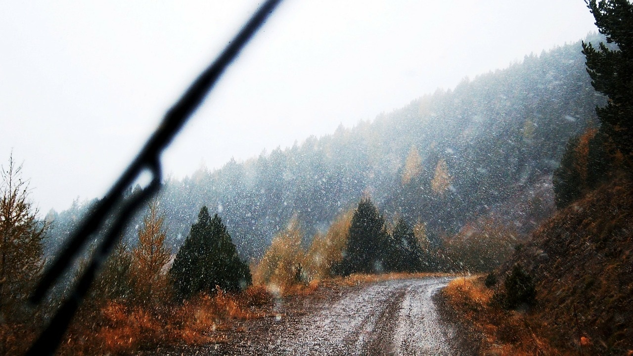 Когда в Челябинскую область придут снег и ветер, рассказали синоптики