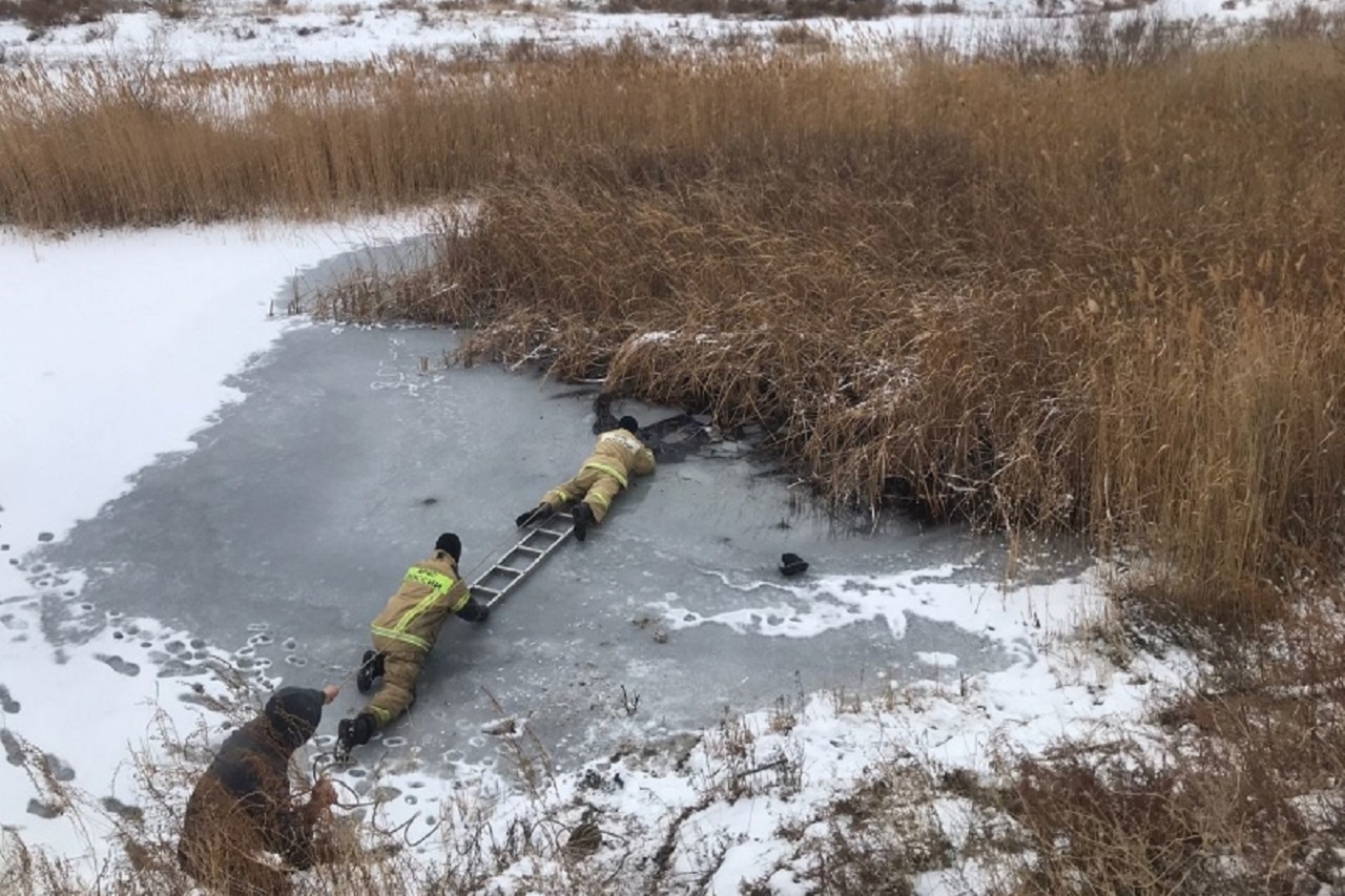 Правило 2 минут: спасатели рассказали об опасности выхода на тонкий лед 