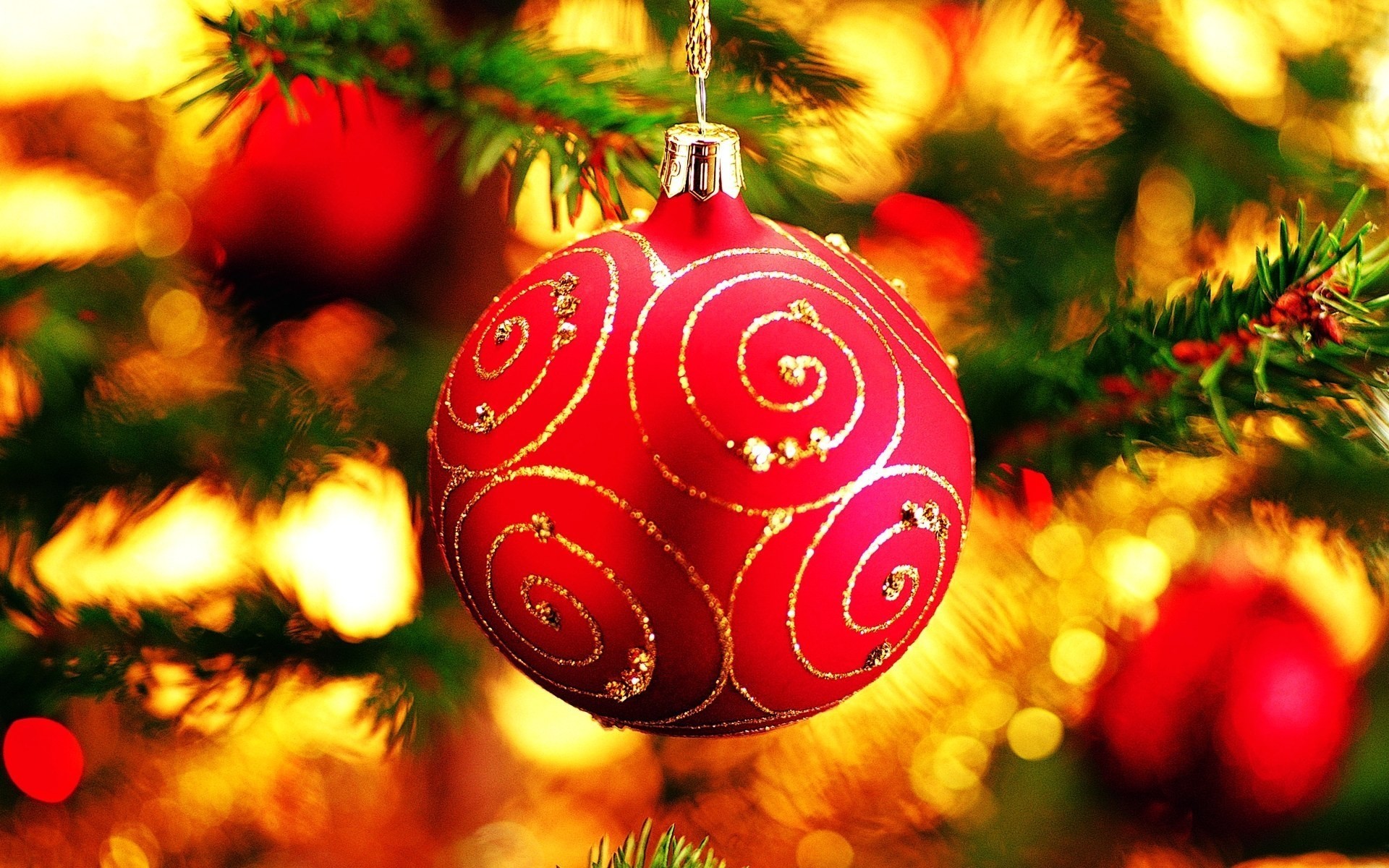 Приметы про новогоднюю ель – символ удачи и богатства: когда ставить и чем украшать