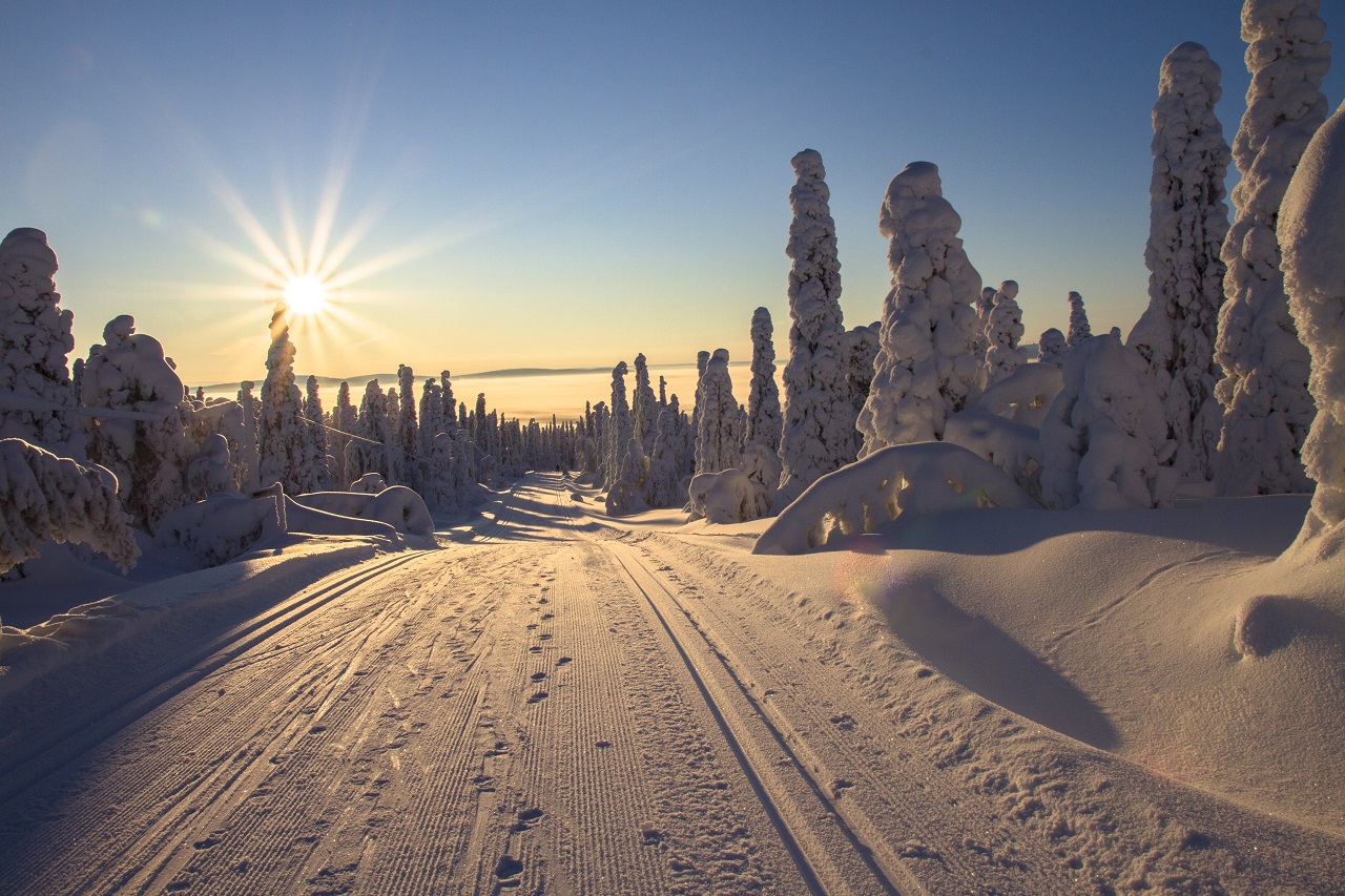 Мороз -52°С: синоптики рассказали о погоде в Челябинске в январе 