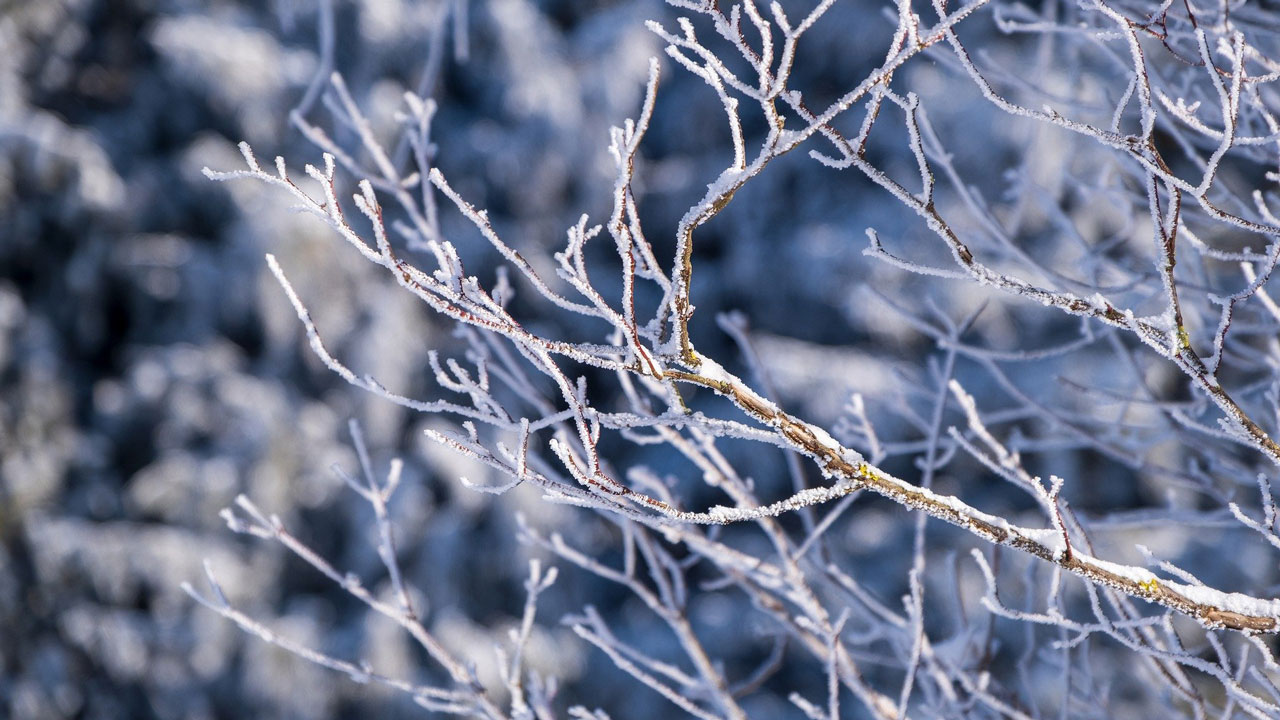 Снег, ветер и морозы прогнозируют в Челябинской области