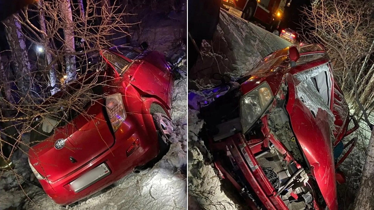 Машину в Челябинской области впечатало в дерево, есть жертвы