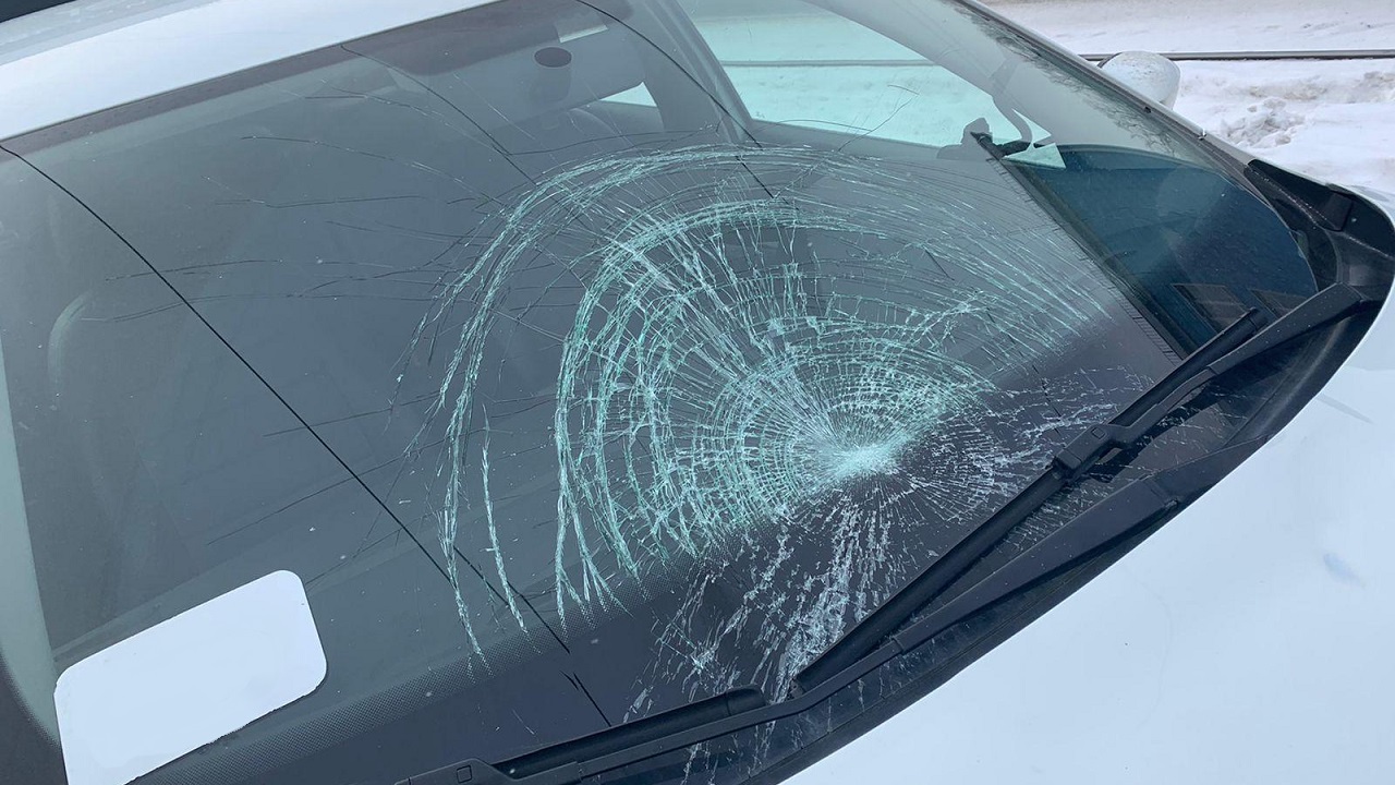 Пять человек сбили на дорогах в Челябинске