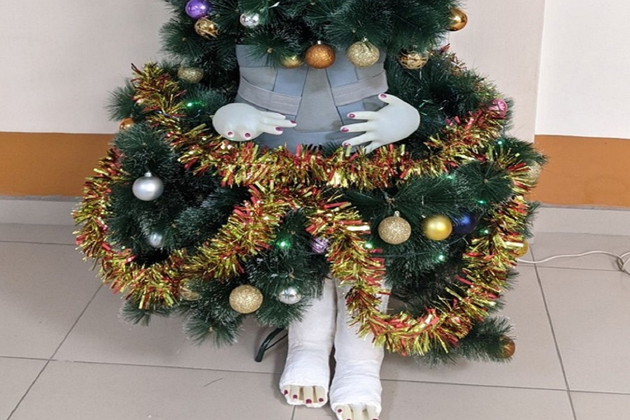 Необычные новогодние елки создали врачи из Челябинской области