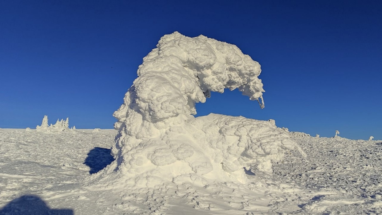 Причудливые снежные скульптуры запечатлели туристы в Челябинской области