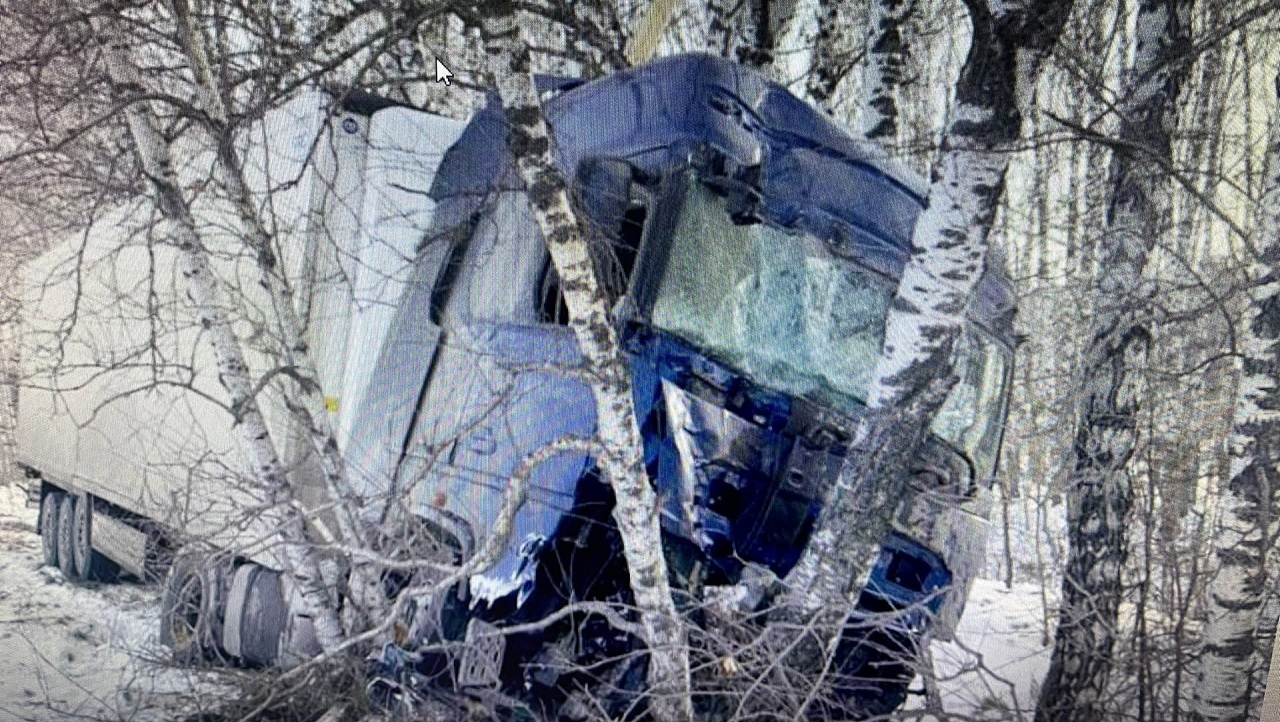 В Челябинской области грузовик слетел в кювет и врезался в дерево