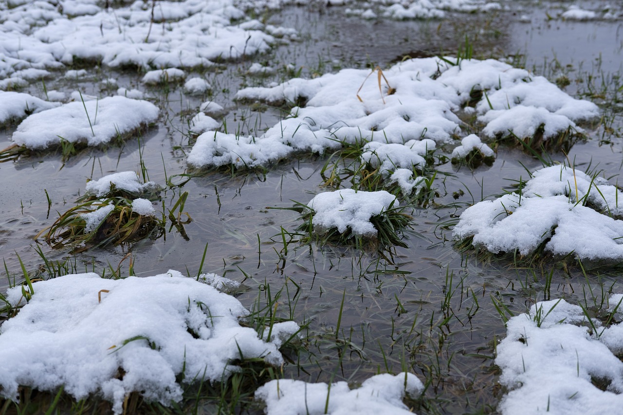Гололедица и мокрый снег: в МЧС предупредили об опасной погоде в Челябинской области