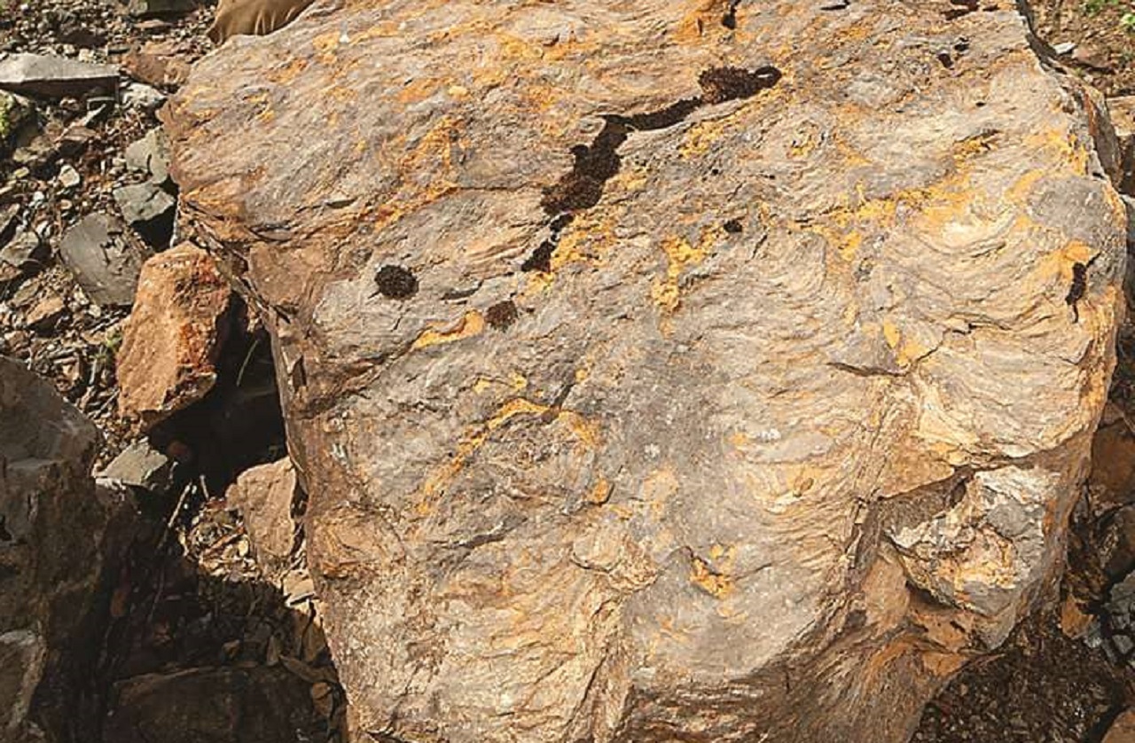 Возраст – 1,5 млрд лет: следы первых обитателей Земли нашли в Челябинской области 