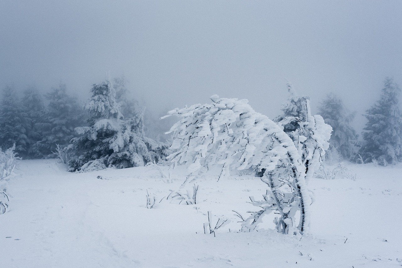 Похолодание до -29 °C прогнозируют синоптики в Челябинской области