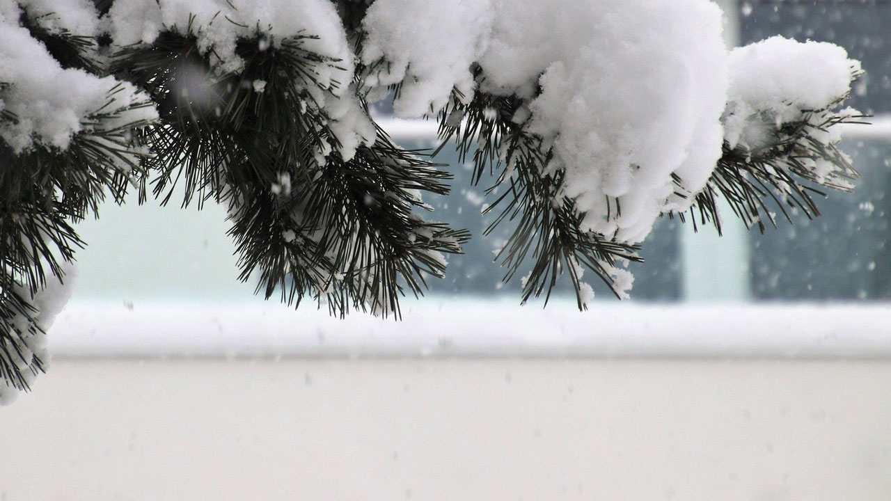 Снег, гололедицу и +1 °C прогнозируют в Челябинской области