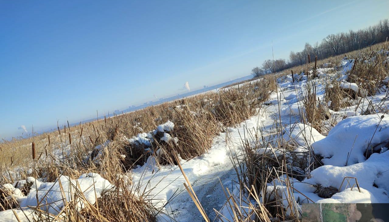 В Челябинске накажут «ЮжУралВодоканал» за слив нечистот в главное водохранилище города