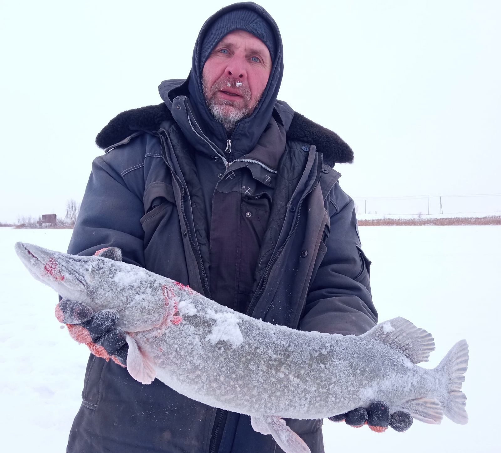 Крупным уловом похвастались рыбаки в Челябинской области ФОТО