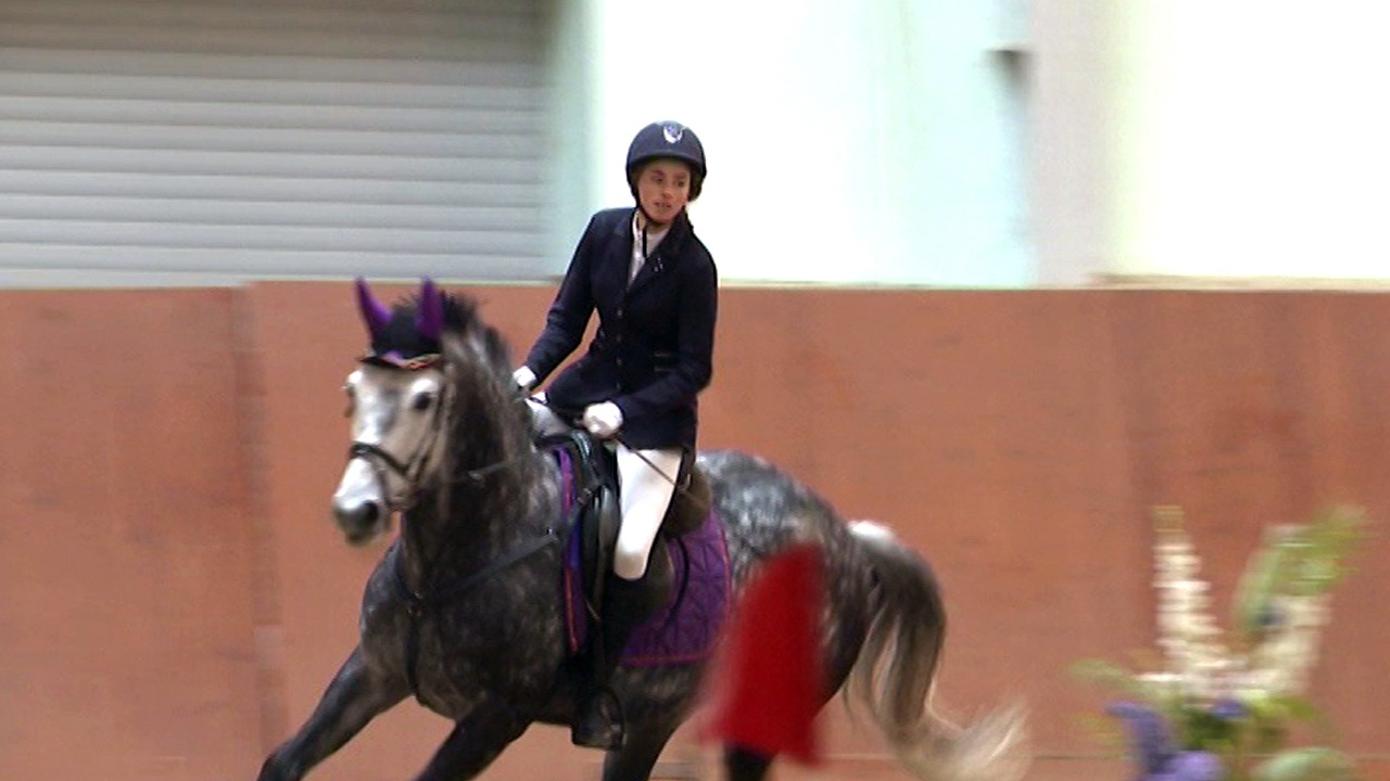 Соревнования по конному спорту прошли в Челябинске