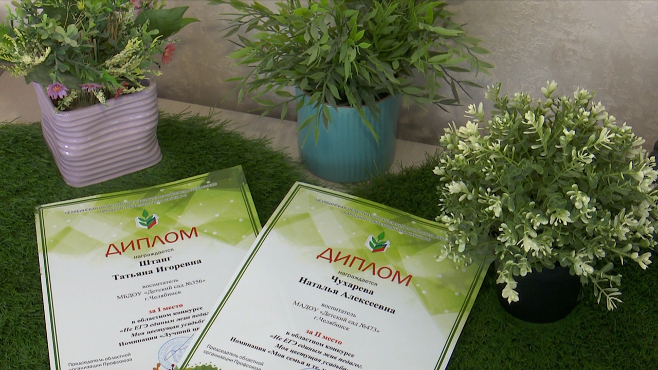 Воспитатели детских садов Челябинской области получили награды за особые проекты