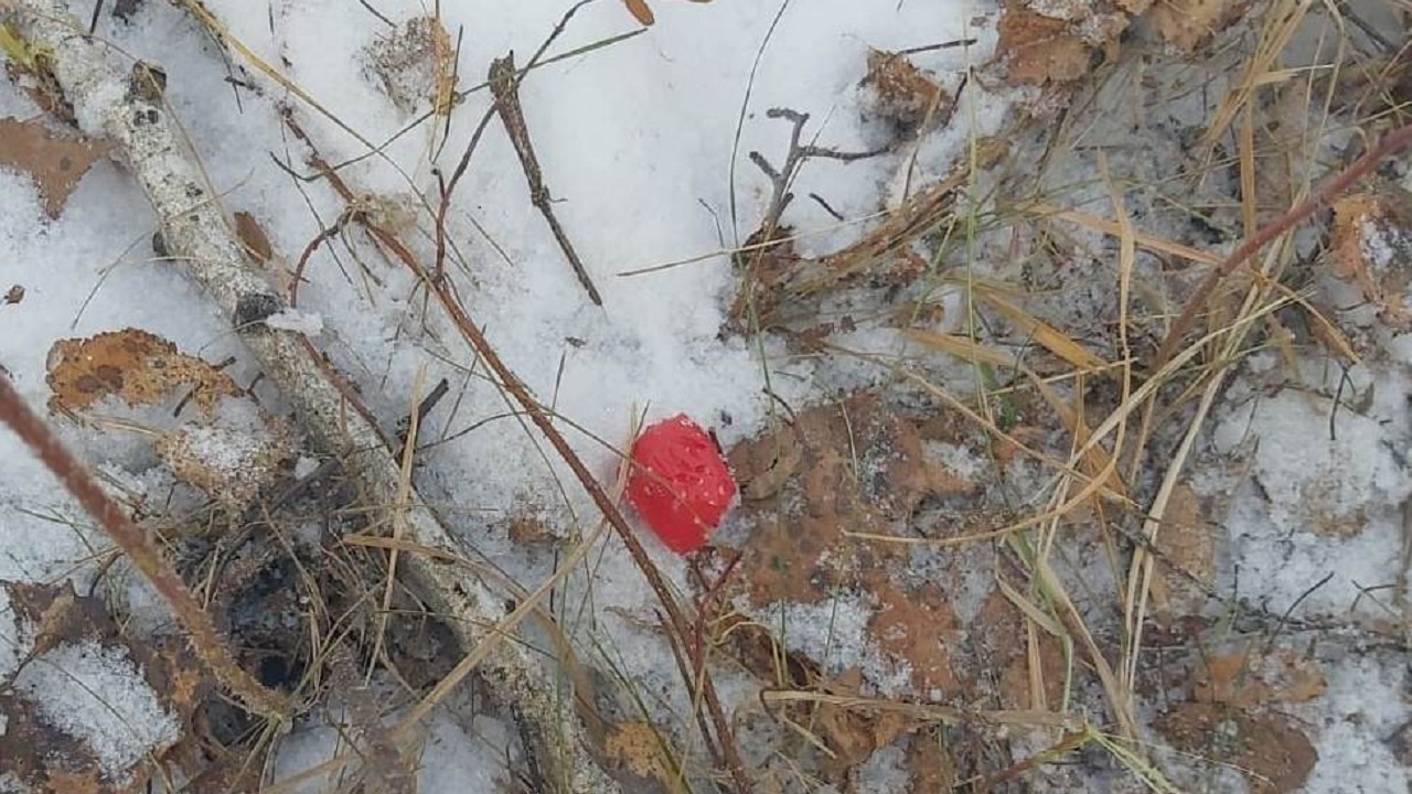 Семейную пару наркодилеров задержали в Челябинской области