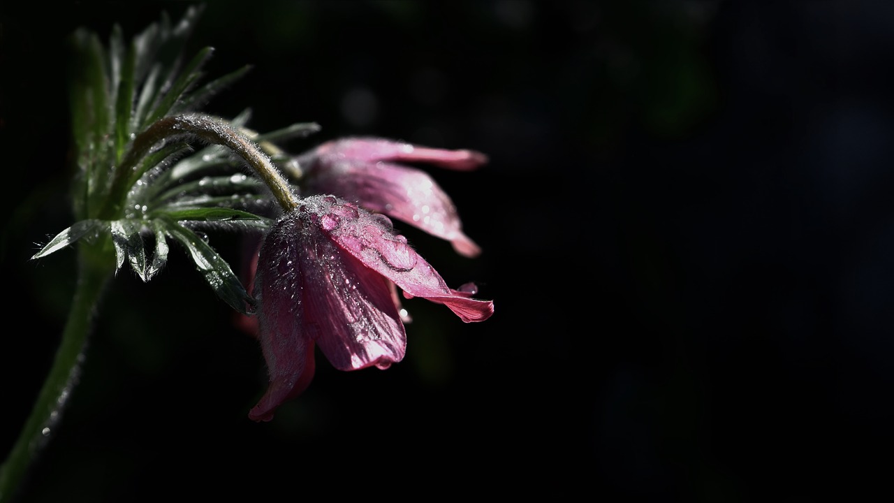 Вселенская родительская суббота 2022: какого числа и что категорически нельзя делать 