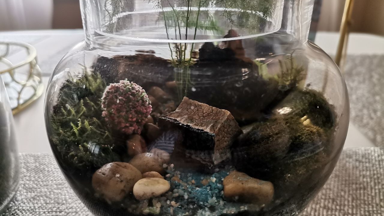 Как девушка из Челябинской области создает аквариумы с живыми цветами