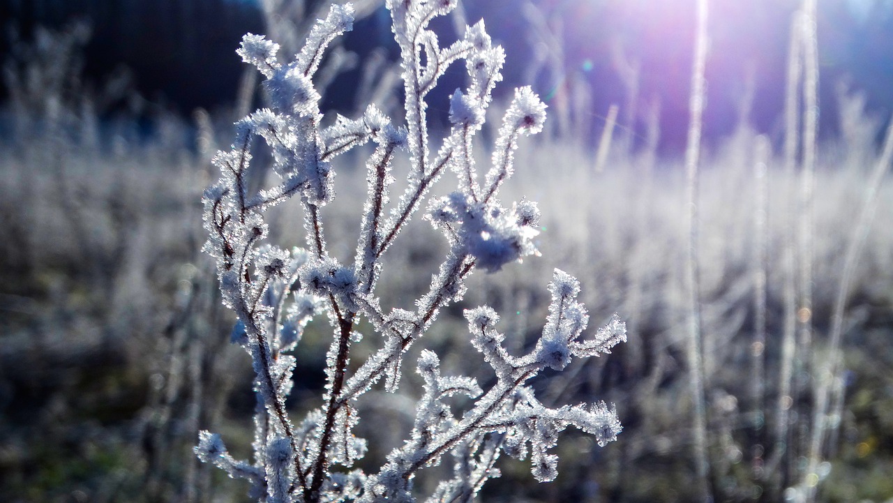 Снегопады и -42 °C: синоптики рассказали о погоде в Челябинской области в марте