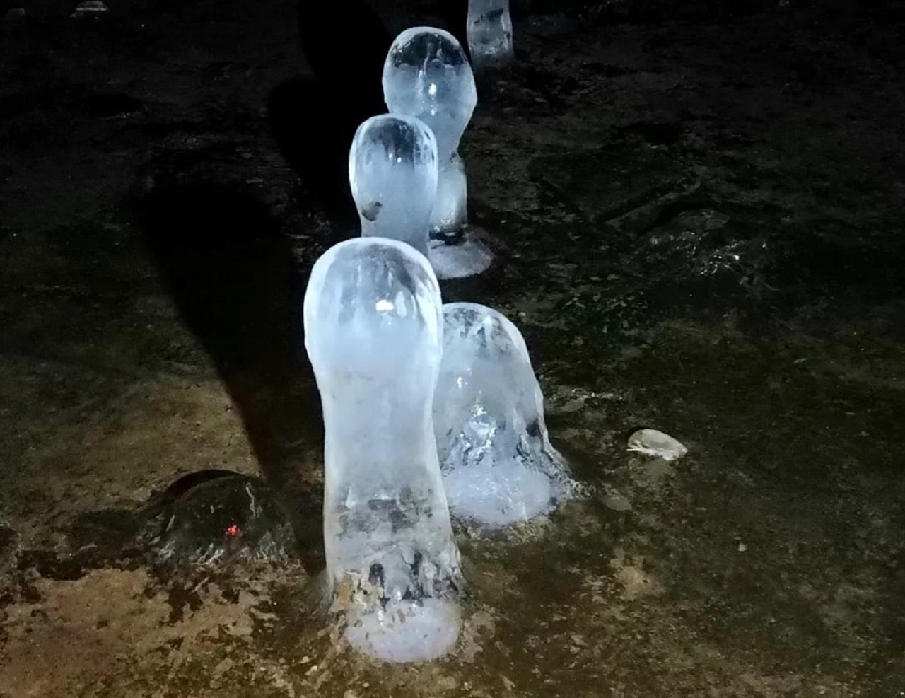 Ледяные грибы выросли в Челябинской области