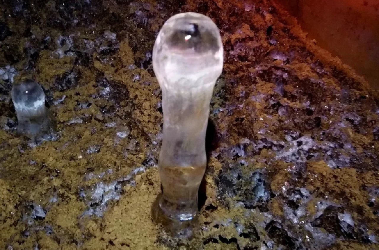 Ледяные грибы выросли в Челябинской области