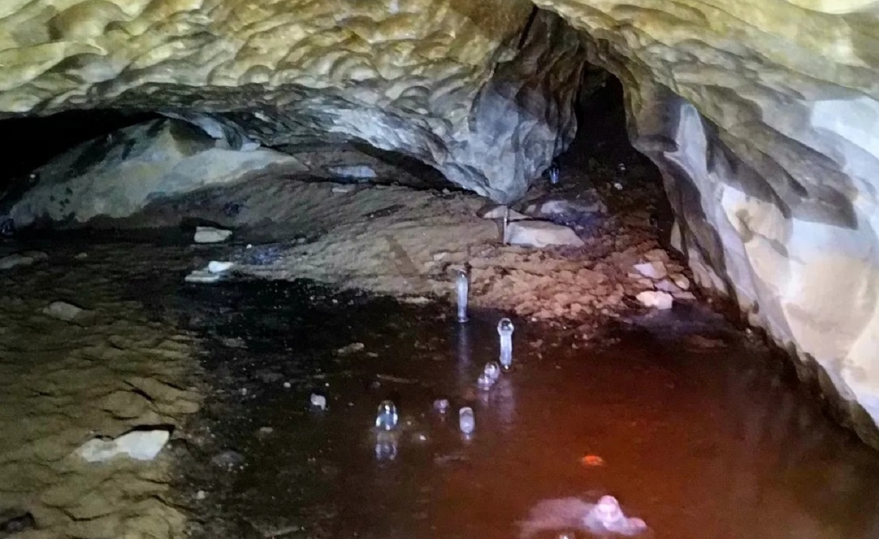 Ледяные грибы выросли в Челябинской области