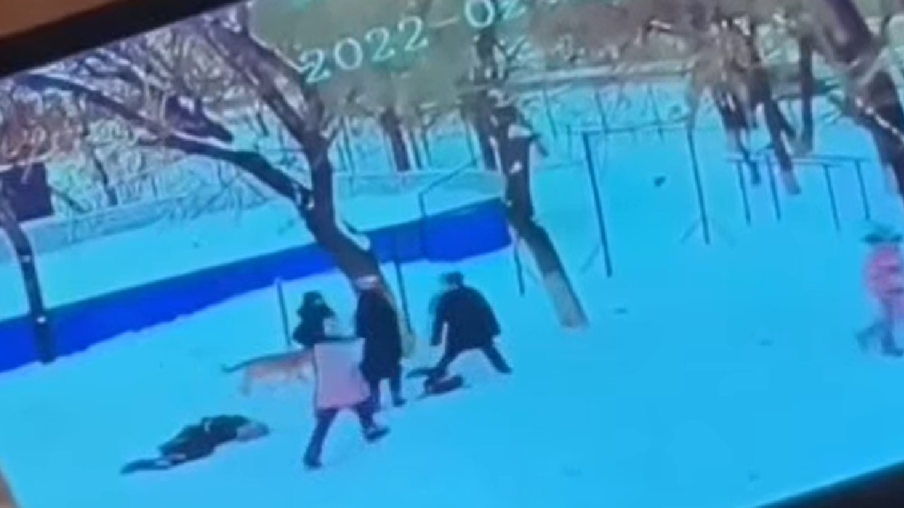 Девочку избили на территории школы в Челябинской области