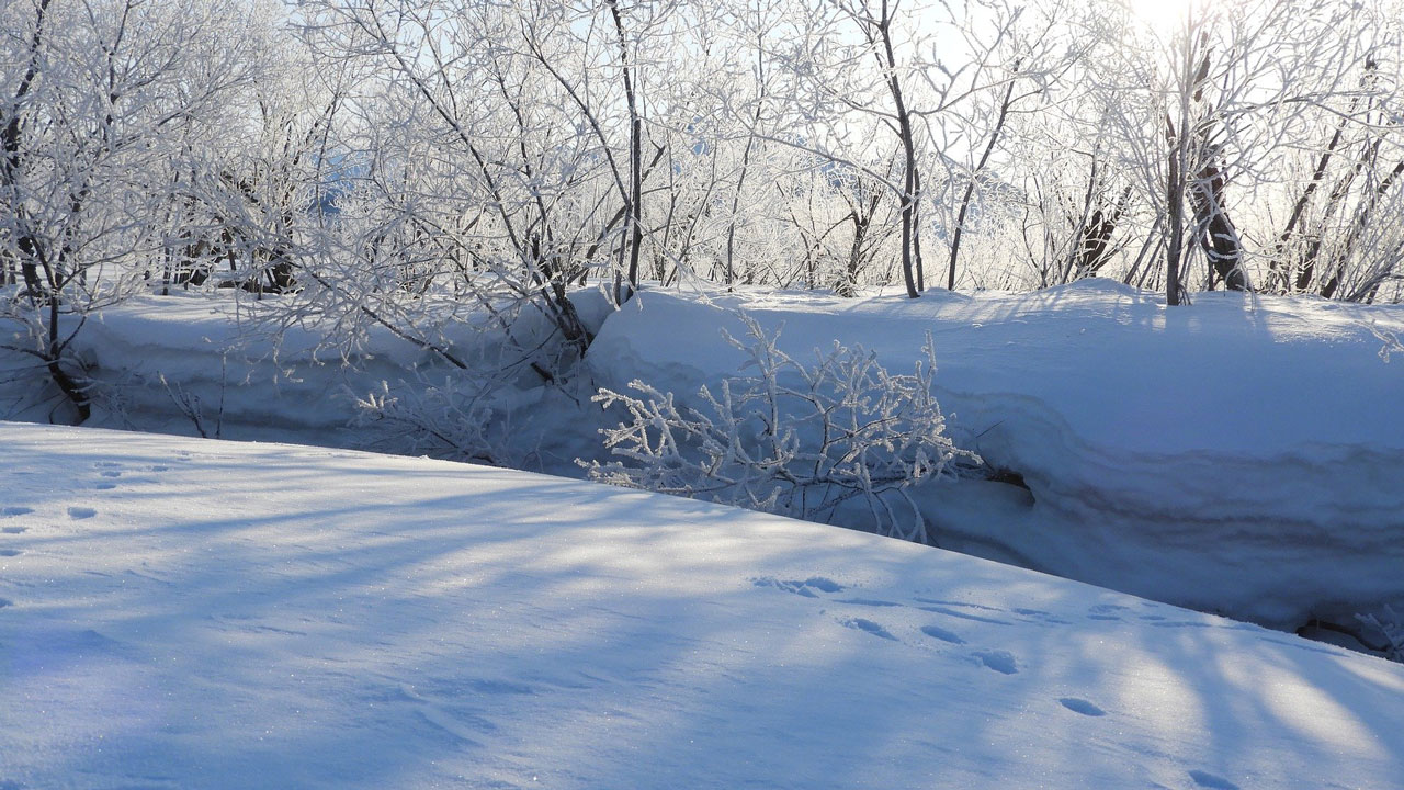 Потепление до +1 °C прогнозируют в Челябинской области