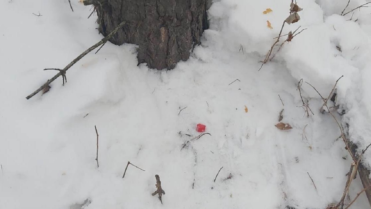 Семейную пару наркодилеров задержали в Челябинской области