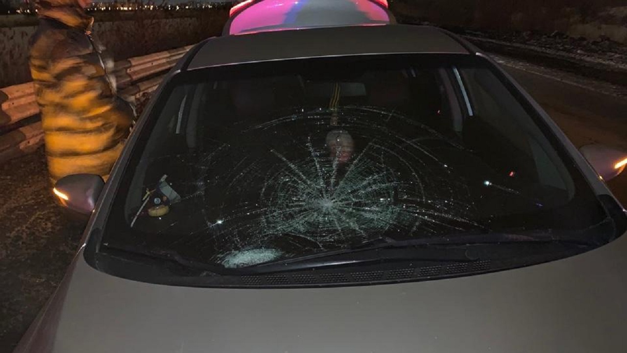 Под колеса в Челябинске попали 5 пешеходов Под колеса в Челябинске попали 5 пешеходов