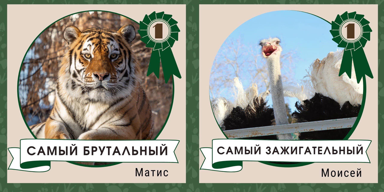 Челябинский зоопарк назвал самых модных, зажигательных и семейных животных
