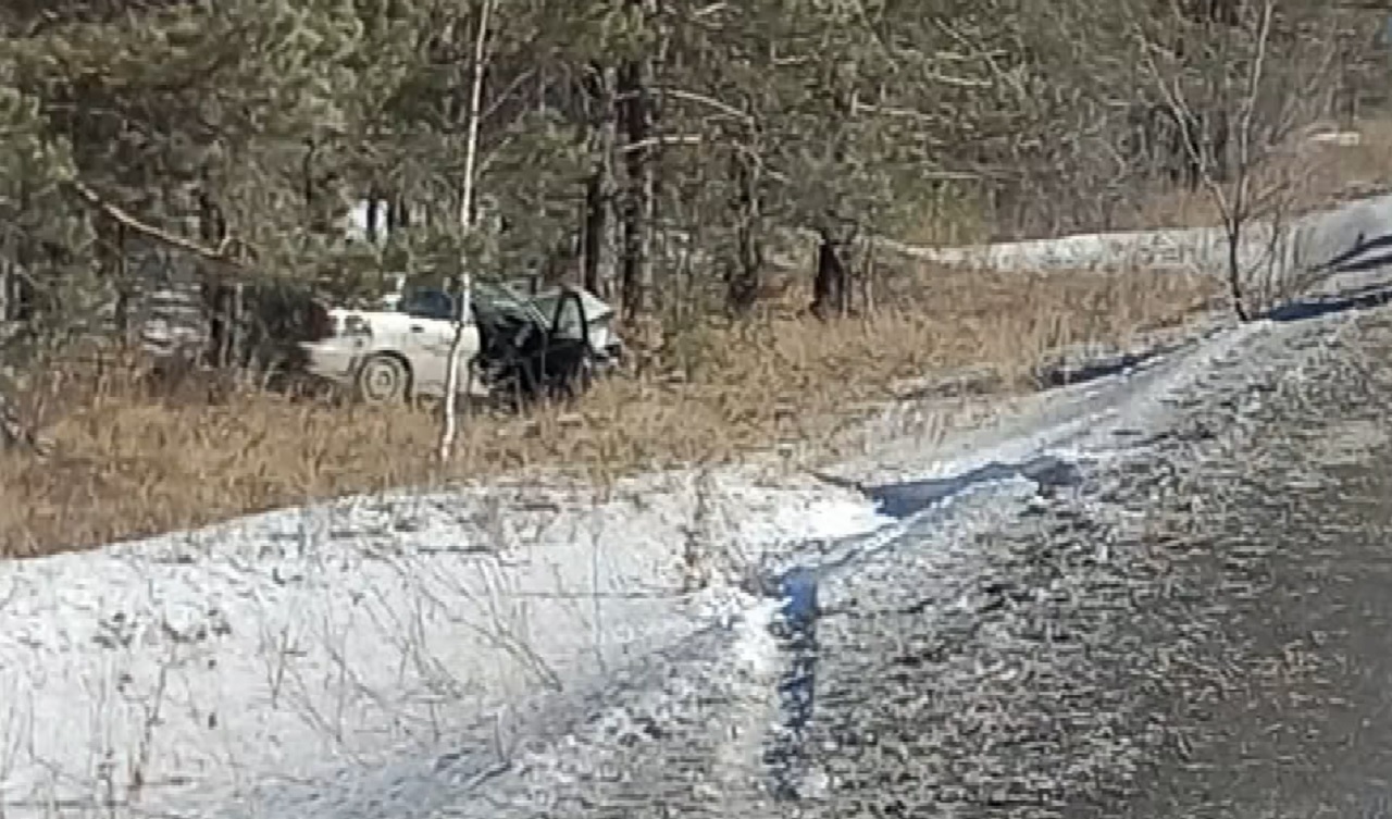 В Челябинской области произошло смертельное ДТП с наездом на дерево