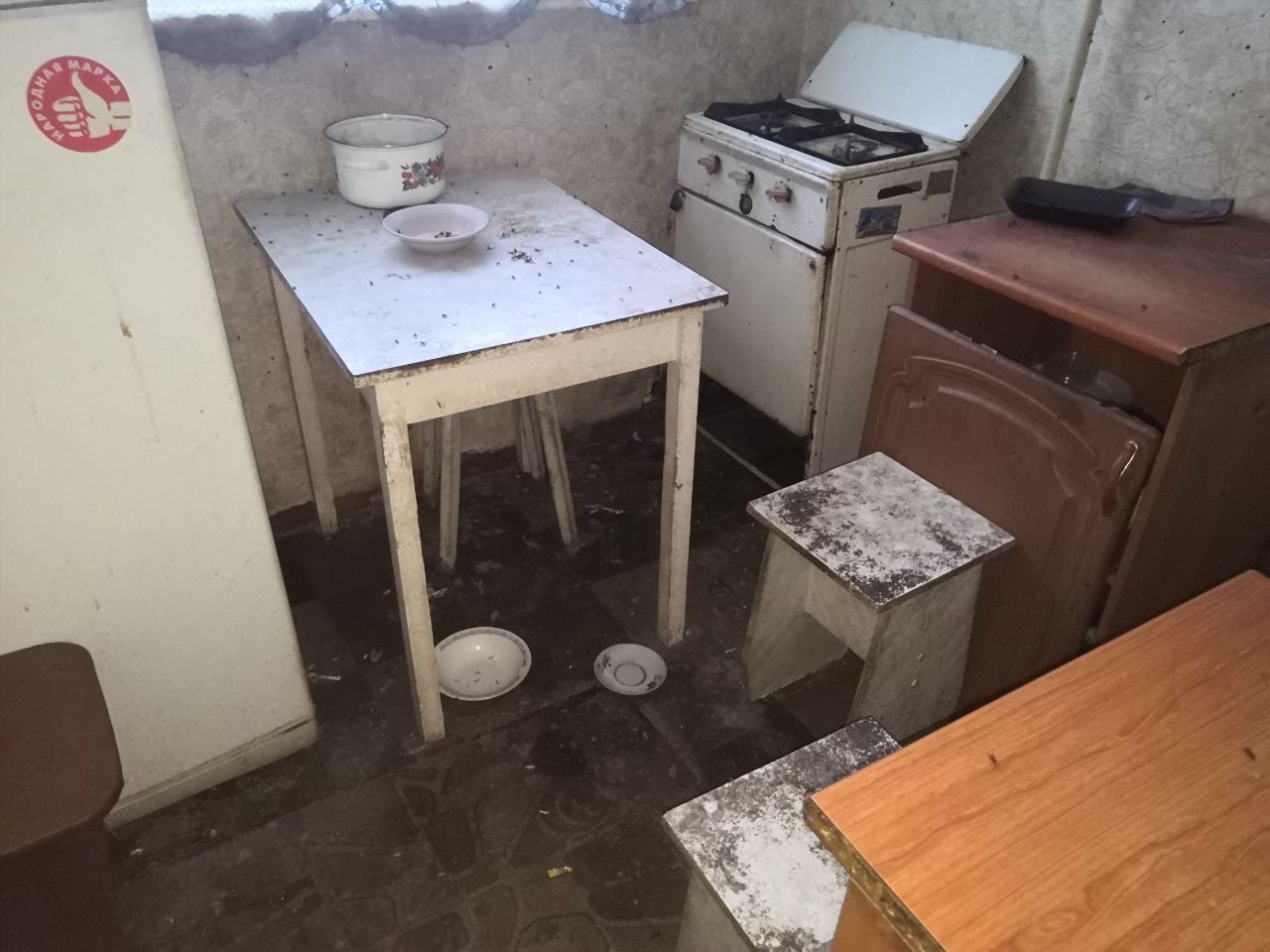 Бытовой триллер: квартиру пенсионера, в которой жили 6 кошек, привели в порядок