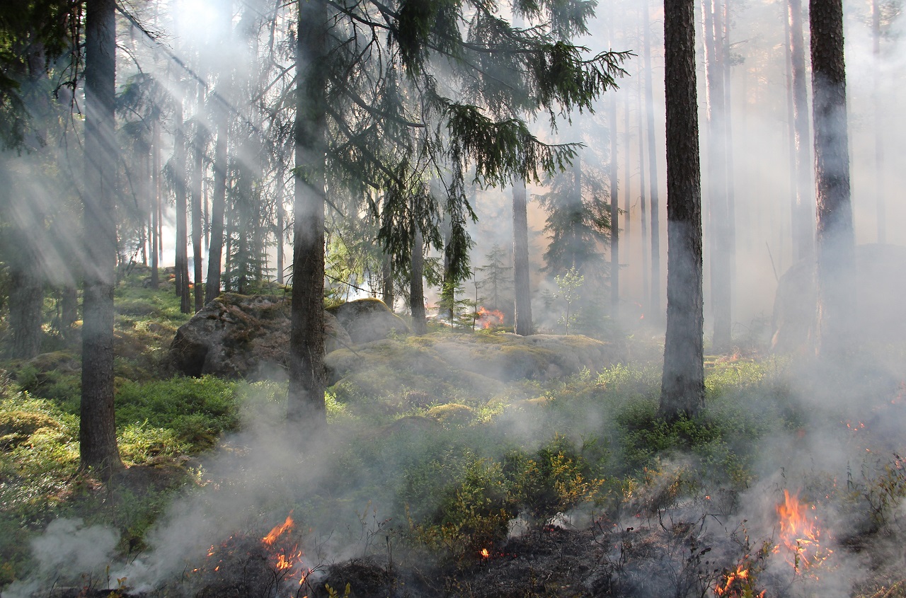 В Челябинской области начинается пожароопасный сезон