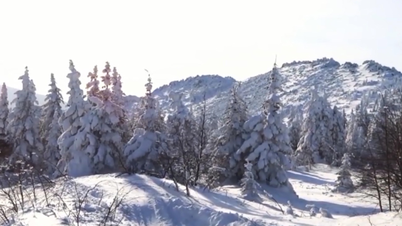На высоте километр: лыжный забег прошел в горах Челябинской области