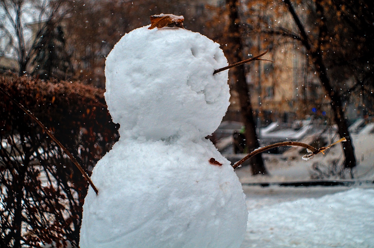 Буря с мокрым снегом ожидается в Челябинской области 